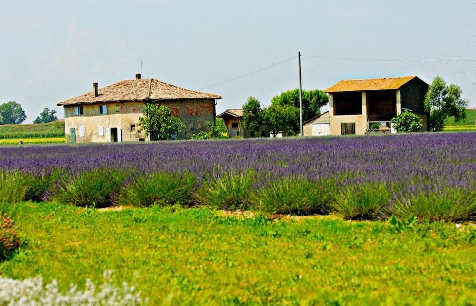 Il Murello Фиорентина Экстерьер фото